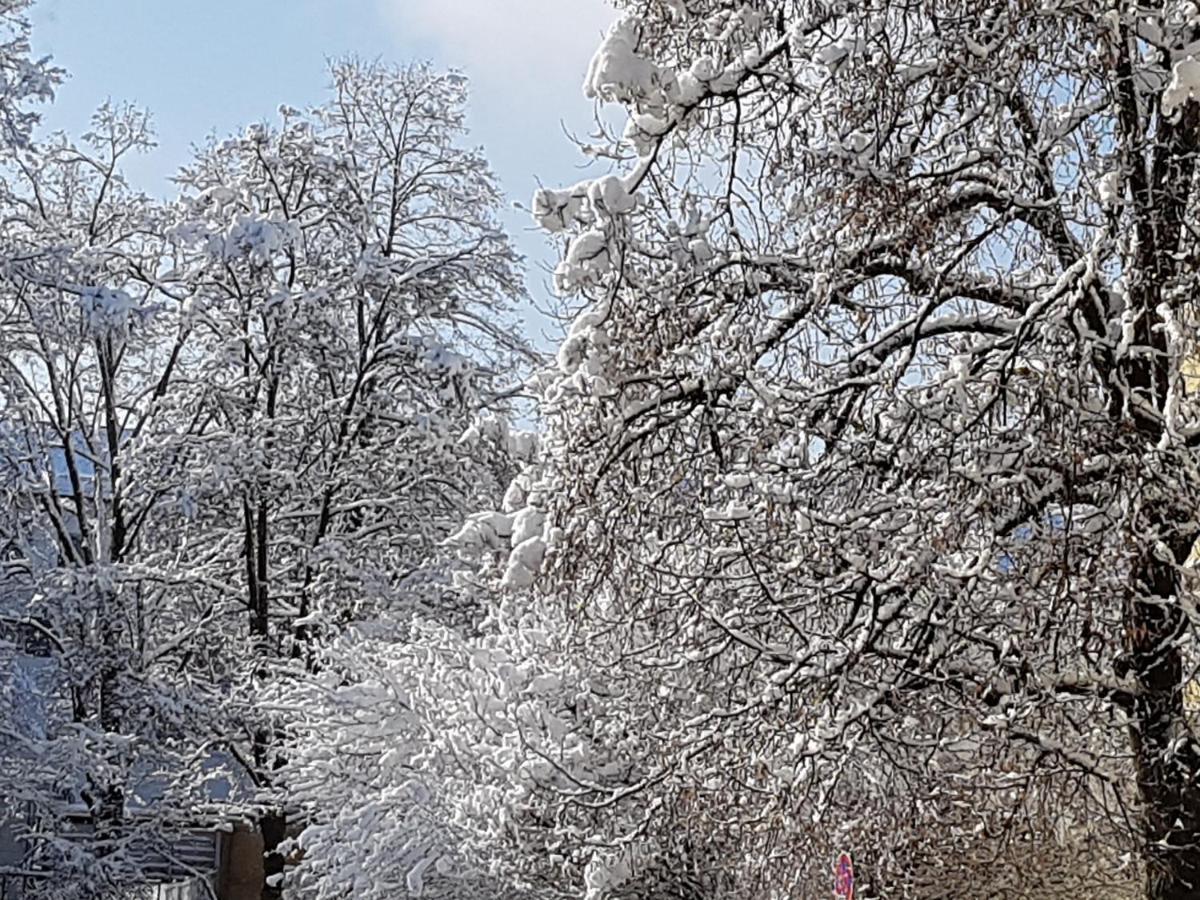 Stas-Przy Szkole Nr3 W Skawie Skawa Luaran gambar